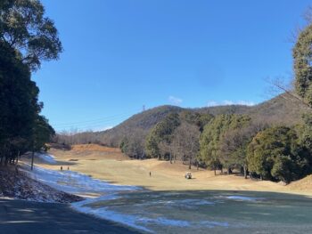 カレーネタ3日目